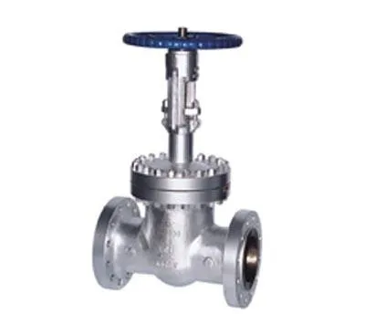 Cast Steel Cryogenic Gate Valves